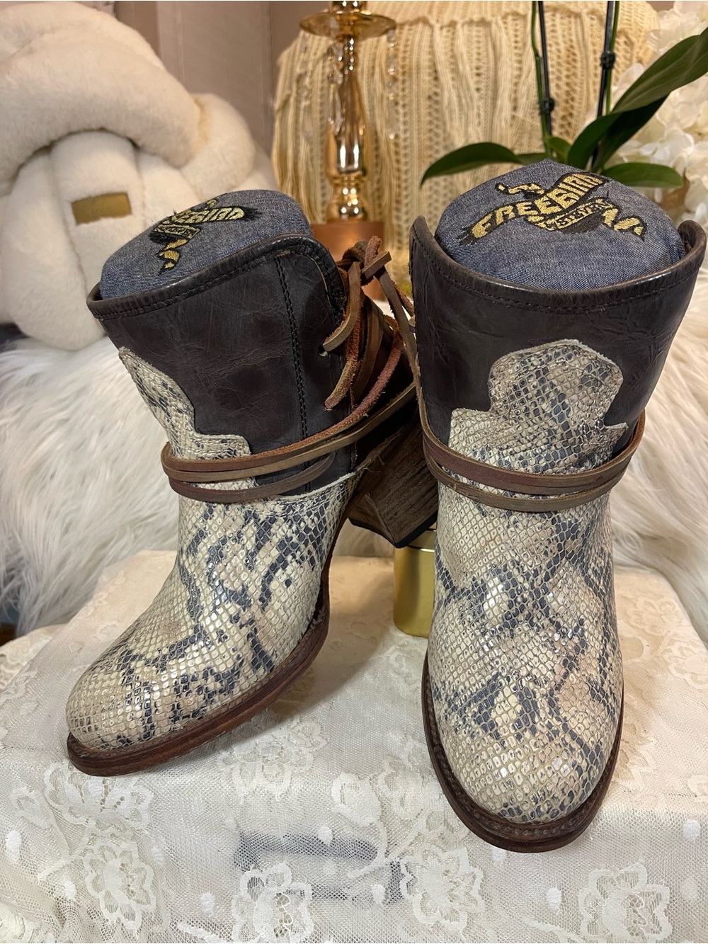 Freebird OH “Casey” Leather Tie Ankle Boots in Cream Snake/Multi MSRP$295